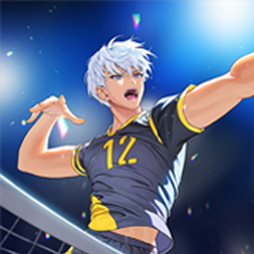 The Spike: Volleyball